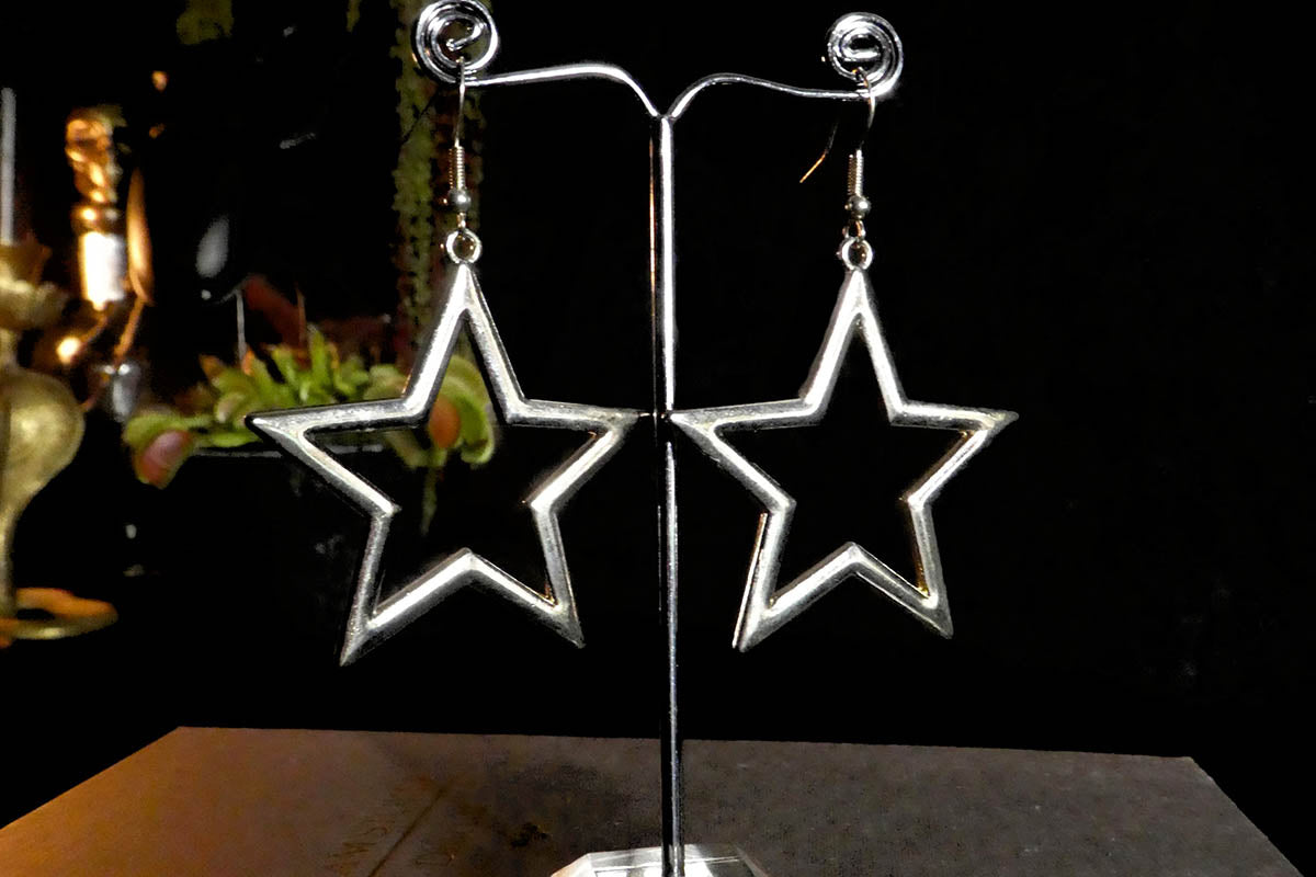 Big Star Earrings Silver