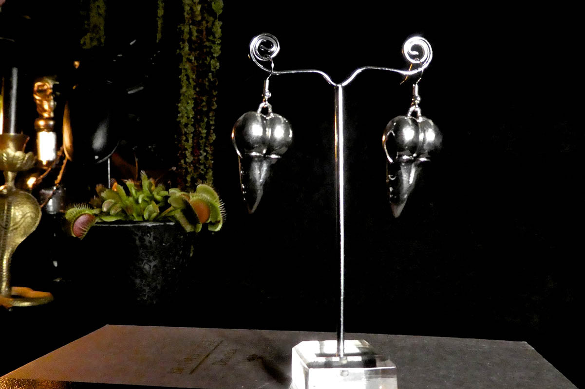 Large Bird Skull Earrings