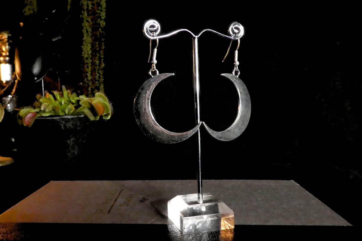 Big Moon Earrings in Silver