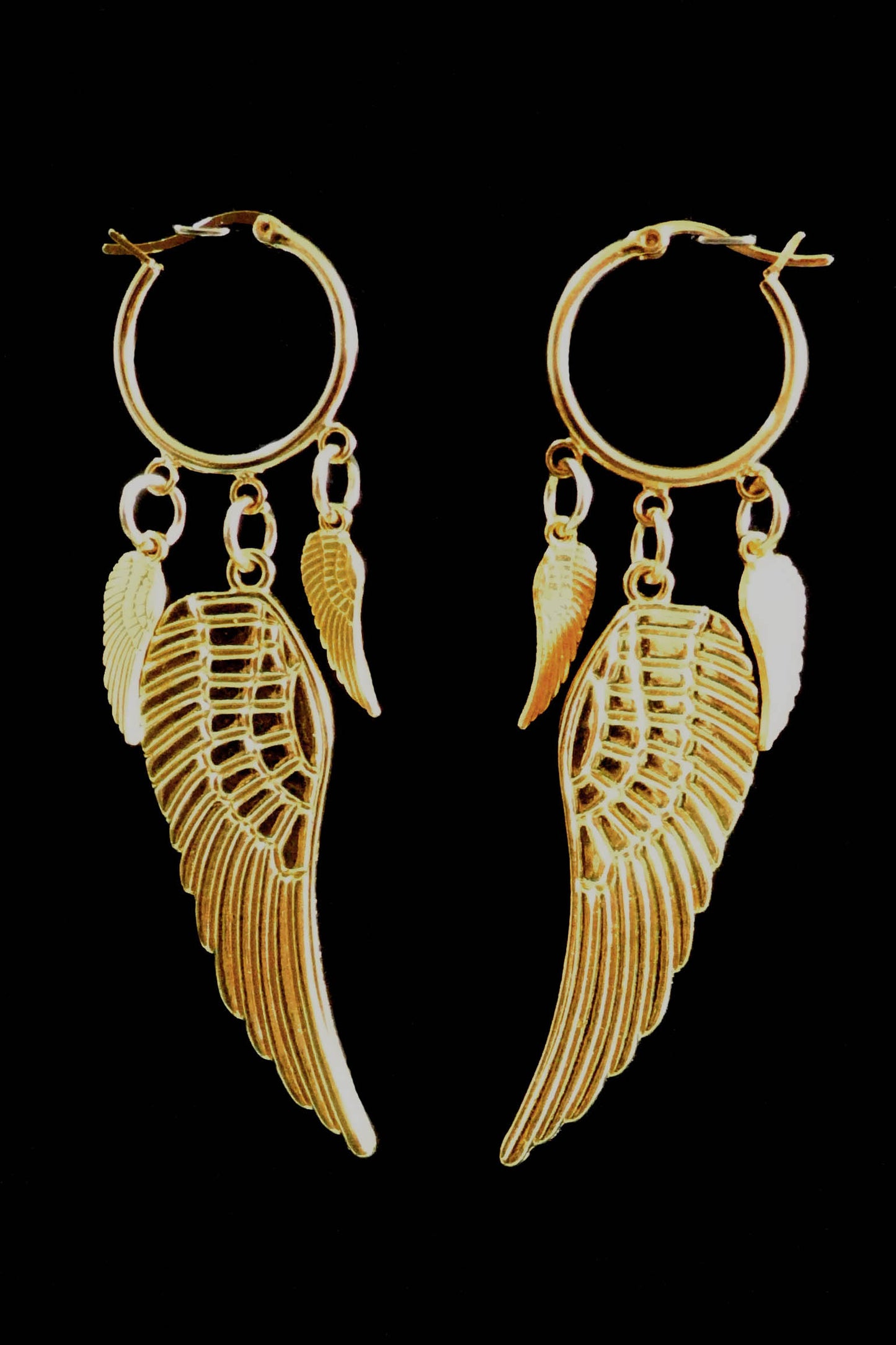 Wings in Gold