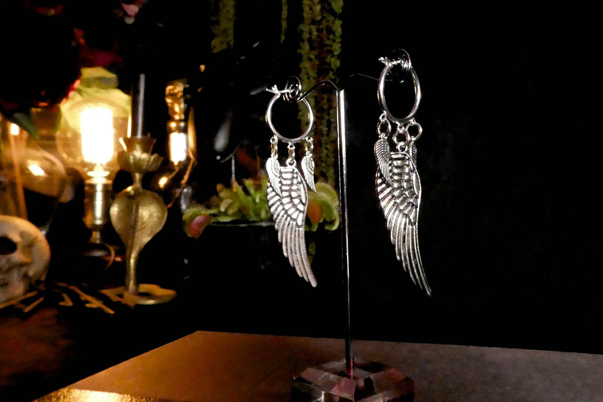 Wings in Silver