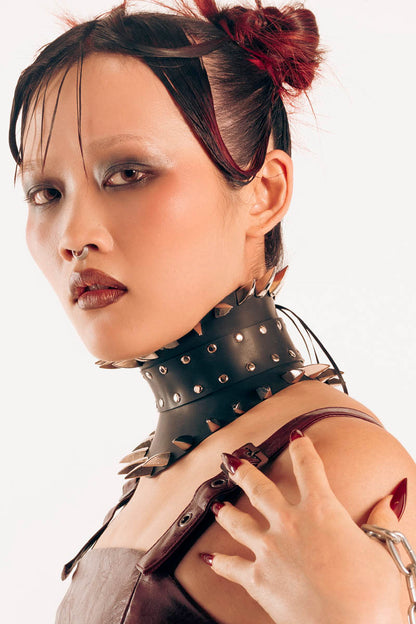 Posture Collar with Claws